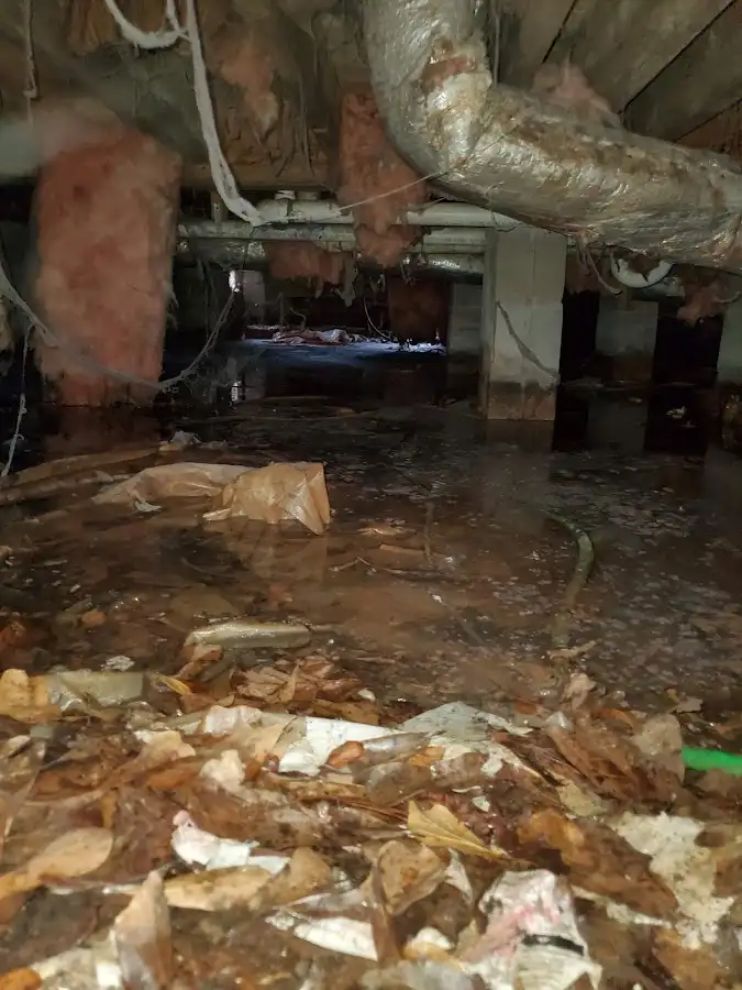 Crawl space flood assessment for Commercial Water Damage Restoration in Azalea Park